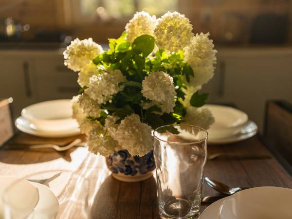 Zagajnik Białowieża