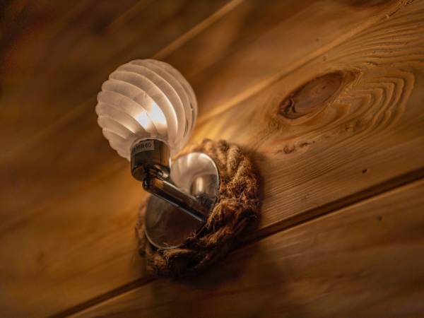 Zagajnik Białowieża