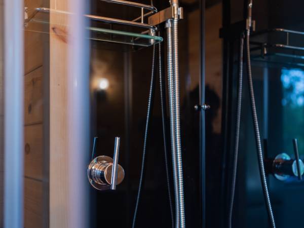 Zagajnik Białowieża