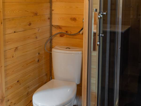 Zagajnik Białowieża