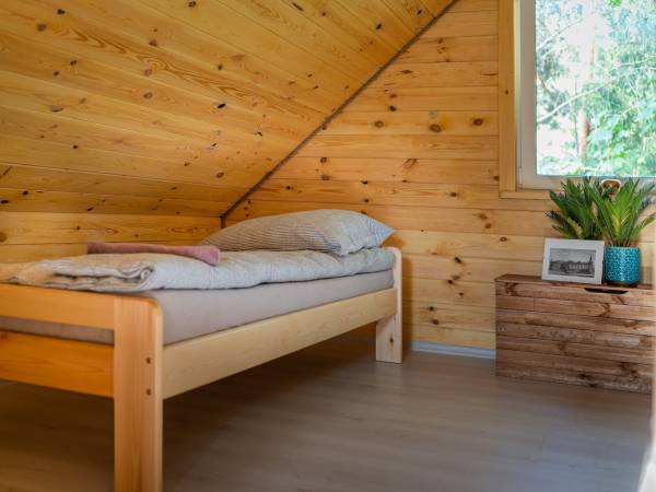 Zagajnik Białowieża