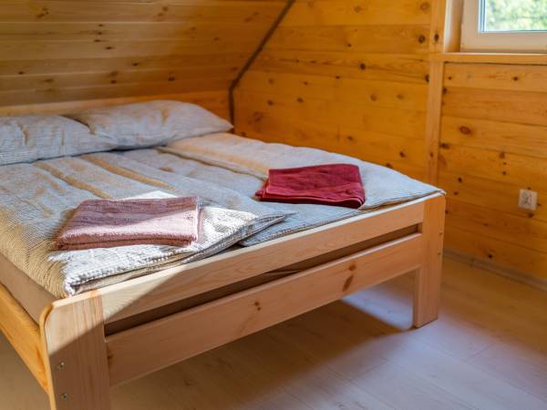 Zagajnik Białowieża