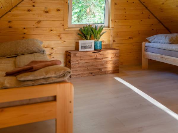 Zagajnik Białowieża