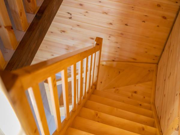 Zagajnik Białowieża