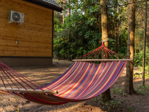 Zagajnik Białowieża