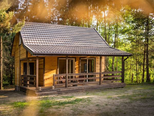 Zagajnik Białowieża