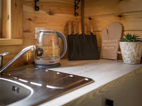 Zagajnik Białowieża