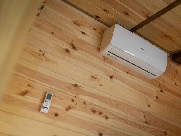 Zagajnik Białowieża