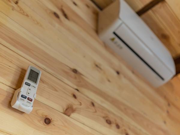 Zagajnik Białowieża