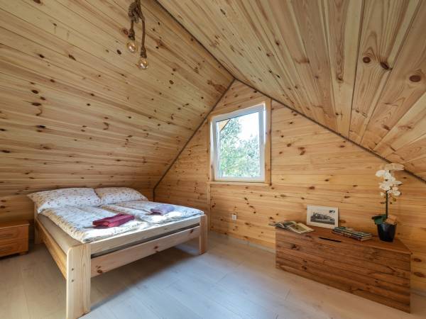 Zagajnik Białowieża