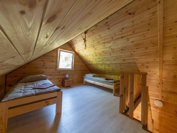 Zagajnik Białowieża