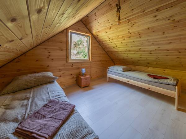 Zagajnik Białowieża