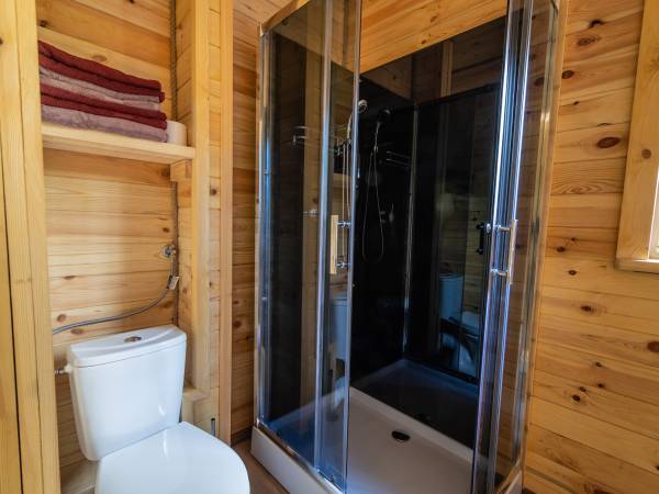 Zagajnik Białowieża