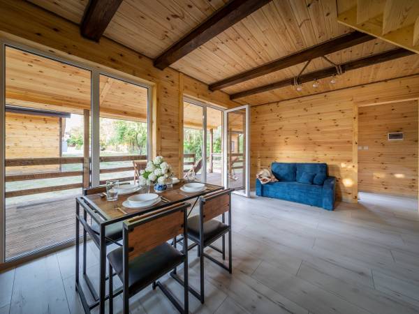 Zagajnik Białowieża