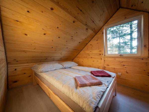 Zagajnik Białowieża