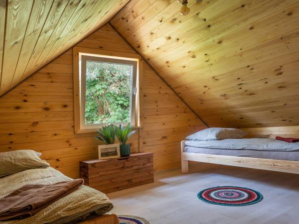 Zagajnik Białowieża