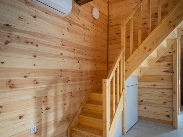 Zagajnik Białowieża