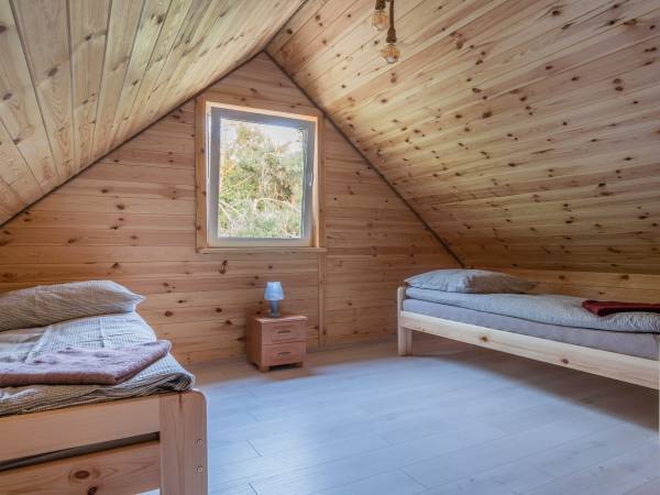 Zagajnik Białowieża