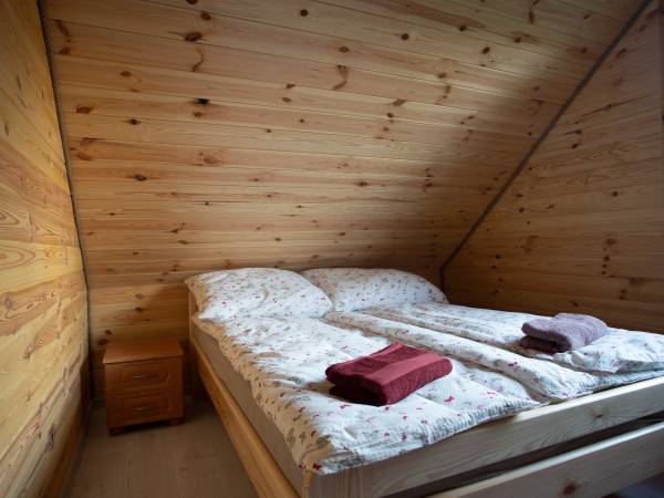 Zagajnik Białowieża