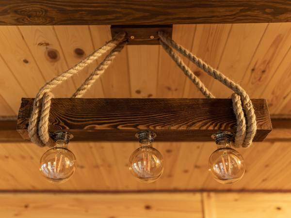 Zagajnik Białowieża