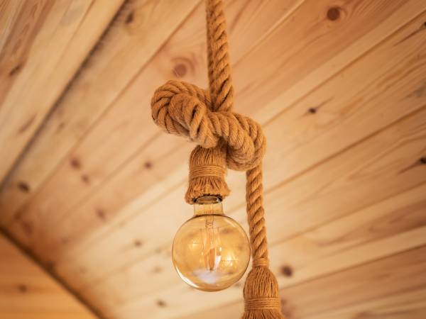 Zagajnik Białowieża