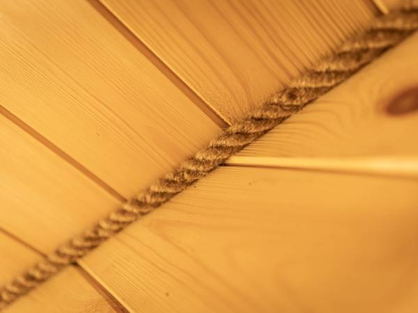 Zagajnik Białowieża