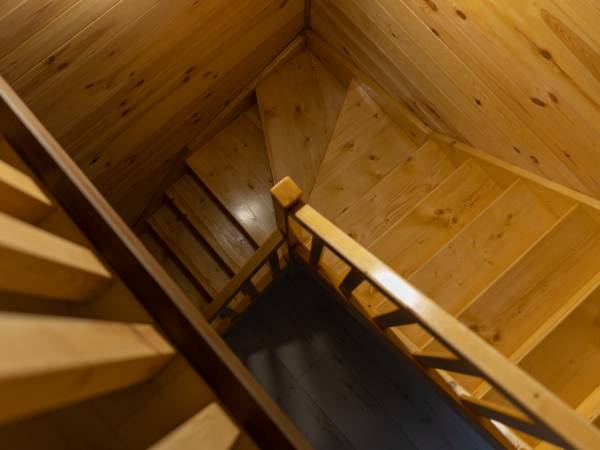 Zagajnik Białowieża