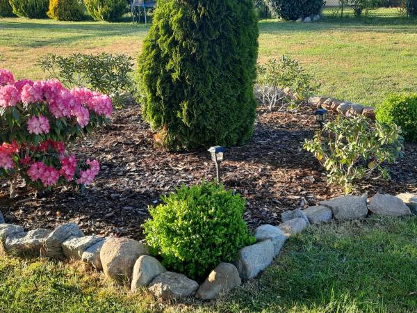 Dom Nad Jeziorem - Natalia