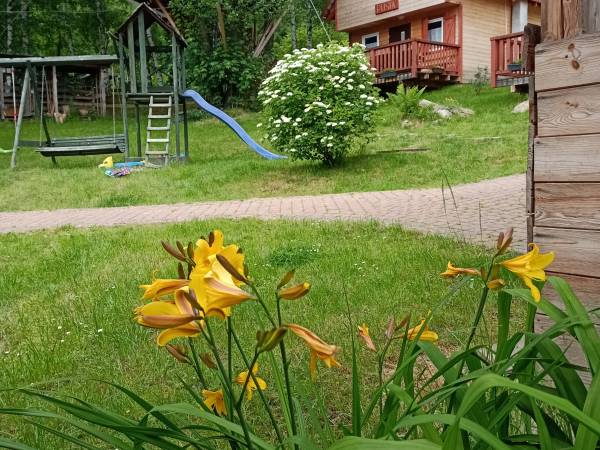 Dom na Drzewie i Domek Pusia D