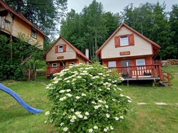 Dom nad Drzewie i Domek PUSIA i ZUZIA 