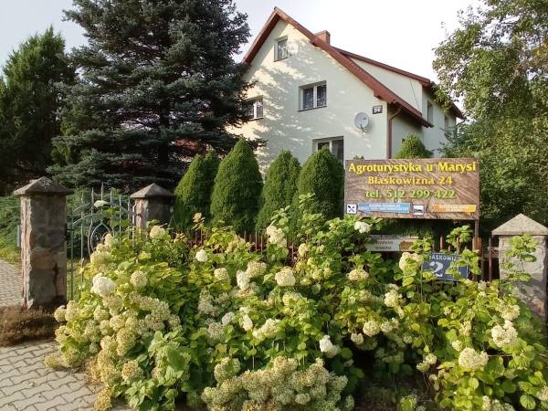 Agroturystyka u Marysi Nad Jeziorem Hańcza