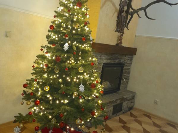 Noclegi Anna Maria Witów 