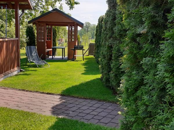 Żywotniki do okoła działki tworzą swoistą barierę od otoczenia