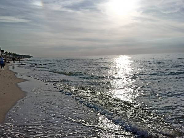 Lawendowy Zakątek Zagaje