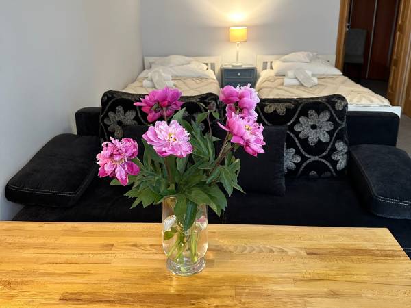 Anielski Zakątek Polańczyk