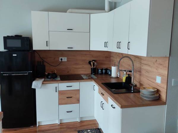 Kuchnia wyposażona w lodówko-zamrażalkę, płytę indukcyjną, zmywarkę, mikrofalówkę, czajnik, garnki