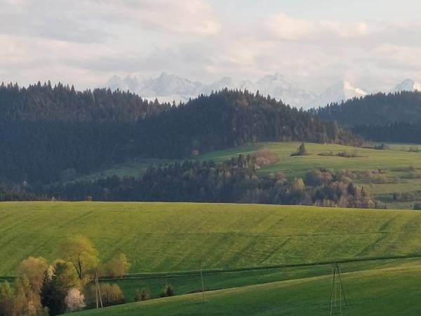 Domki na kocim zamku