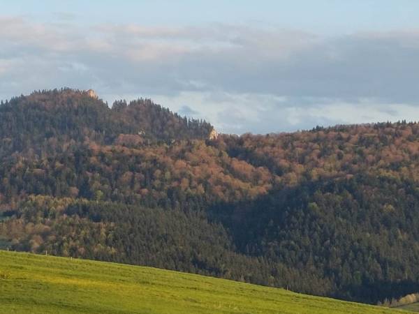 Domki na kocim zamku