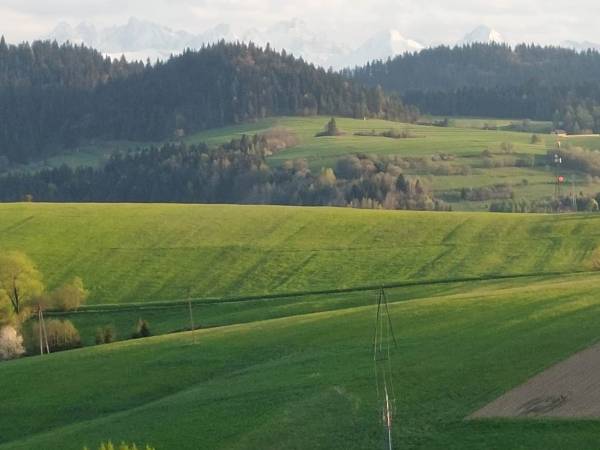 Domki na kocim zamku