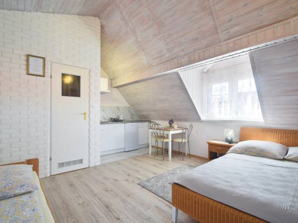 APARTAMENT 3 osob.Nr.10 z Mini Kuchnią oraz Balkonem