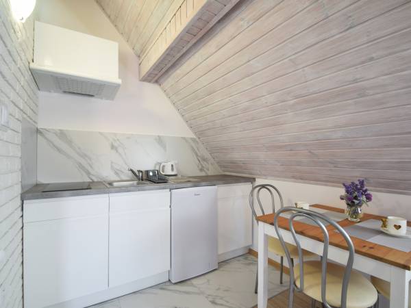 APARTAMENT 3 osob.Nr.10 z Mini Kuchnią oraz Balkonem