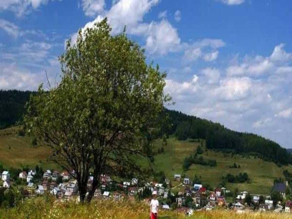 Widok z nowego placu zabaw