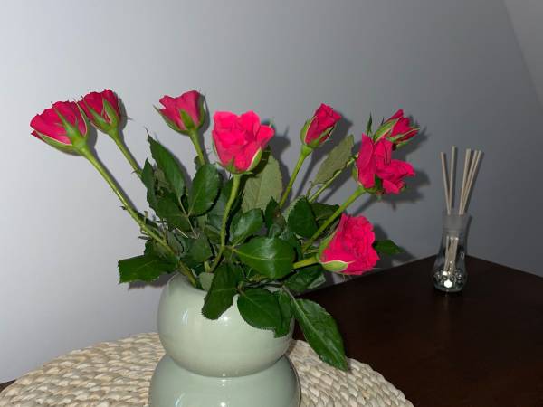 Agroturystyka Stryszkowy Zakątek