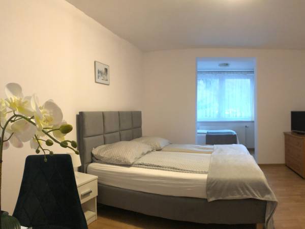 Duży pokój 3 osobowy z łazienką nr 3