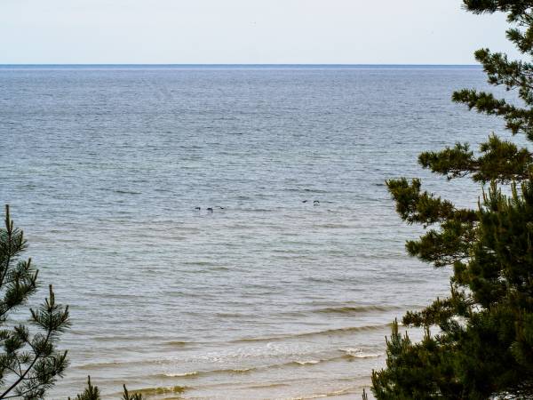 Dom Wczasowy Claudia