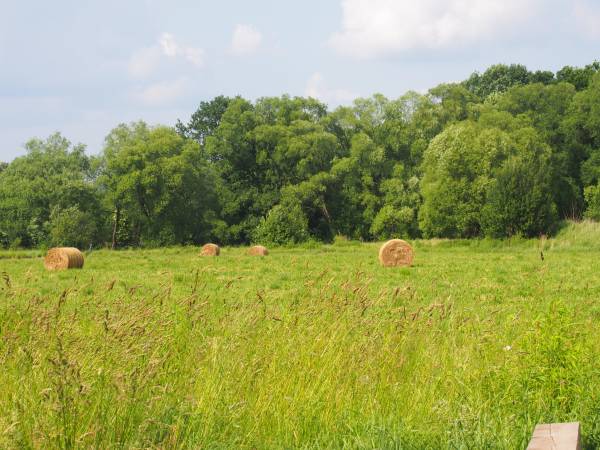 Domki , apartamenty Przy Maków Polnych , karkonosze ...