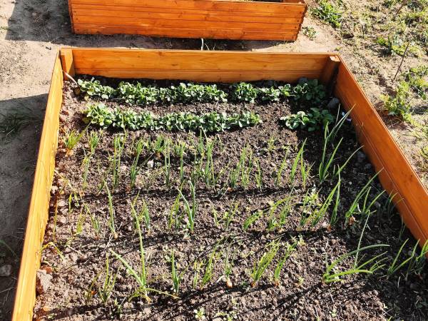 Ogródek dla gości 2023