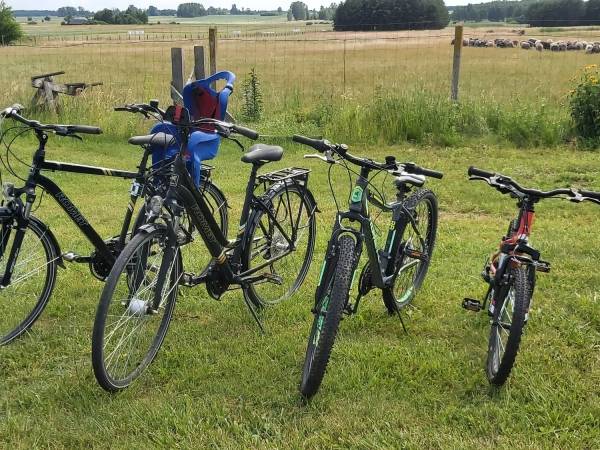 Wiejskie podwórze Ekologiczne gospodarstwo agroturystyczne