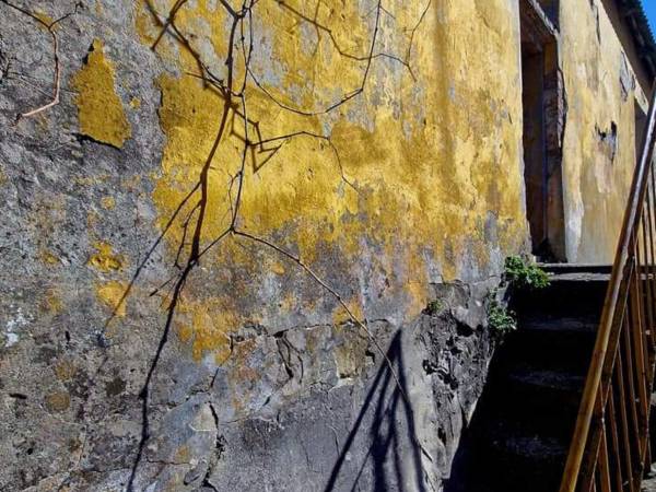 Powiatowy Instytut Kultury