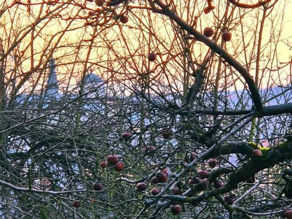 Powiatowy Instytut Kultury